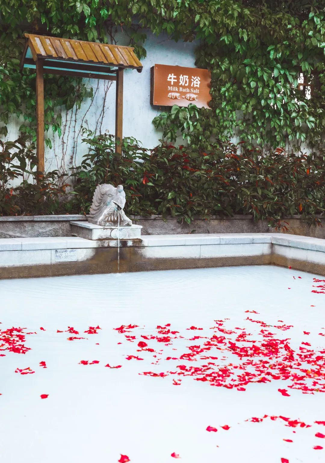 天一温泉3.jpg