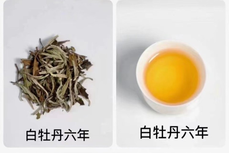 369 年份老茶　白茶　84g✖️4 新品上市| 369年份老白茶系列