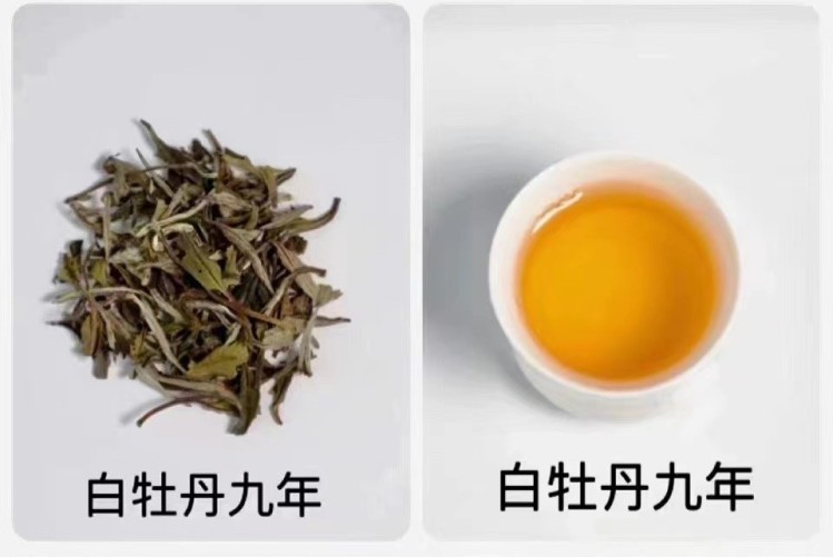 新罗区】绿雪芽茶叶专卖店--369年份老茶